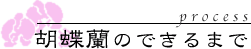Ӓ̂ł܂